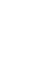 Gilded Monkey